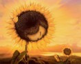 /album/vladimir-kush/sunflower-jpg/